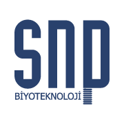  SNP